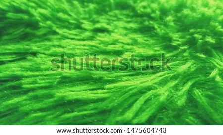 Soft green rasfur fabric background full resolution for designers or producers
