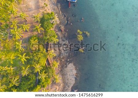 Aerial view of the island beach with coconut tree and some of Sea Gypsy traditional canoe with blue ocean located in Tatagan Bodgaya Mabul island in Semporna, Sabah, Malaysia.