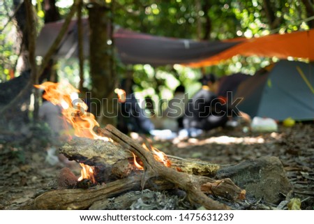 firewood and flame with camping in forest. soft focus.