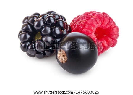 mix of blackberry raspberry black currant isolated on white background.