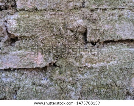 Formation of brick in the wall