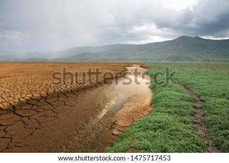 Green grass growing on the dry land after has rain fall Metaphor Nature Recovery, Climate change, Global warming Royalty-Free Stock Photo #1475717453