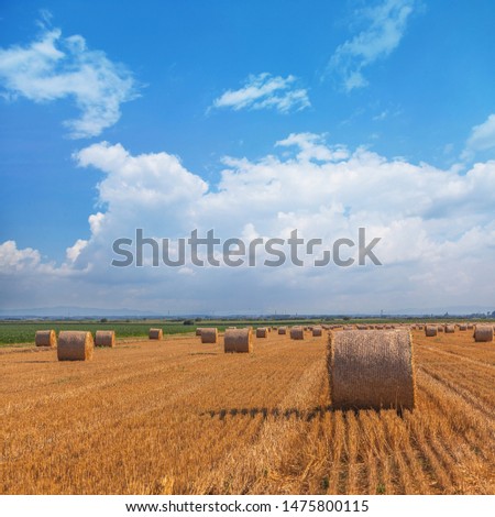 Beautiful summer landscape under blue sky with clouds