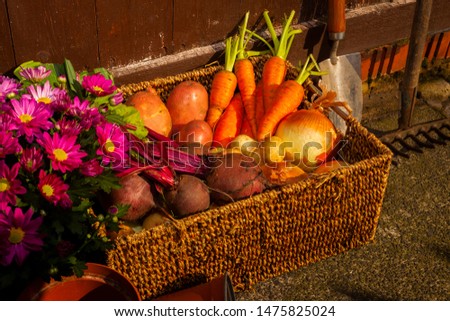 Homegrown organic country living and gardening growing vegetables and flowers for healthy living