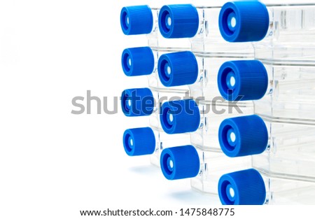 Stack of cell culture flasks with vent caps for science research on white background