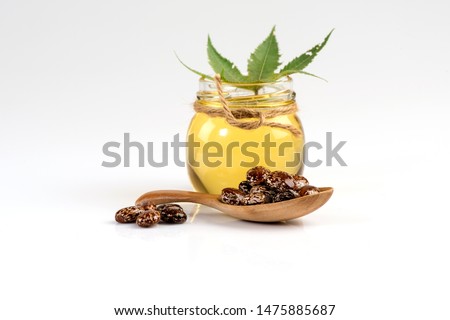 Castor, seeds ,green leaves and oil on white background. Royalty-Free Stock Photo #1475885687