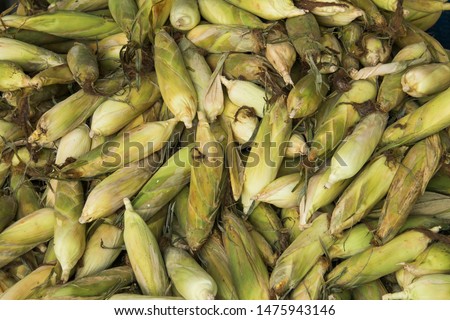 The beautiful pattern corn pile