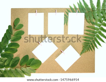 Photo frames on cork Board around green leaves 