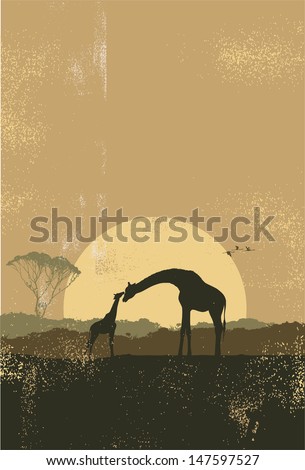 Silhouette of giraffes at sunset, vector