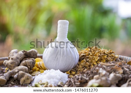 The Herbal compress ball for spa treatment  Royalty-Free Stock Photo #1476011270