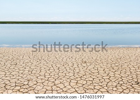 The sunny landscape with straight stripes of the dry cracked soil, fresh surface of water, green opposite bank and blue sky.
