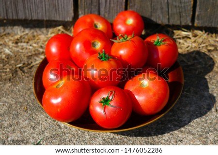Bowl of Ripe Tomatoes against Barn Background