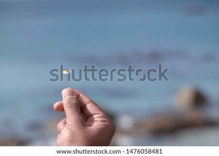 Hand holding white flower at the sea