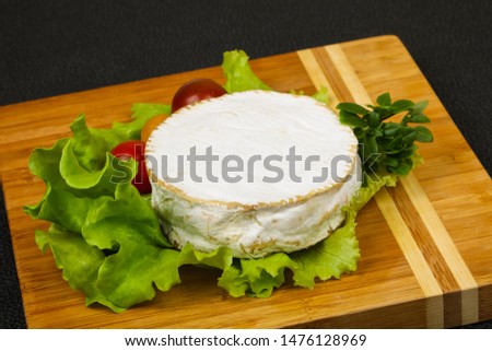 Delicous camembert cheese with salad leaves