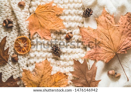 Fall Background with warm sweaters. Pile of knitted clothes with autumn leaves, warm background, knitwear, space for text, Autumn winter concept. Copy Space.