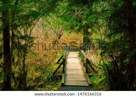 a picture of an exterior Pacific Northwest forest trail