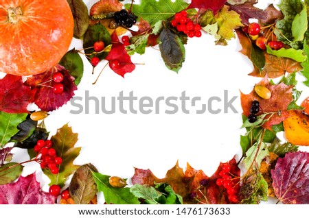 Background of fallen autumn leaves with pumpkin and berries isolated on a white background. Top view.