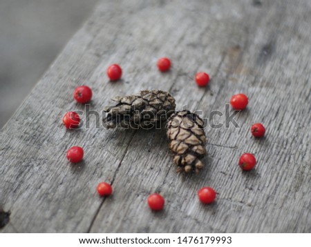 Cones in a circle of currants, cone on a wooden table, circle of currant.