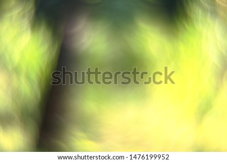 Green bokeh of nature. Blur abstract background. Out of focus.