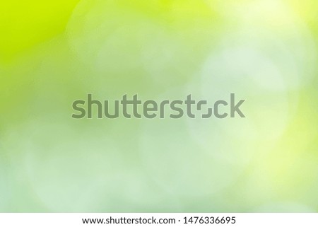 Abstract greenery blurred background with beauty bokeh under sunlight in summer.