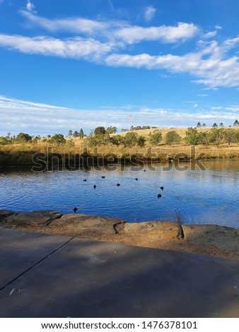 Australian Botanic Garden with pond on a beautiful day