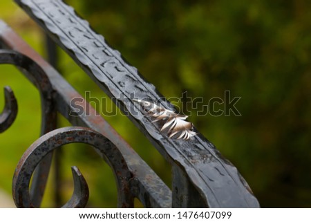 Fragment Iron railing close-up, bird feather.

