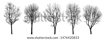 
Winter trees silhouettes collection. Set of isolated vector design elements.
  Hand drawn  illustration in sketch style.  Nature template. Clipart.