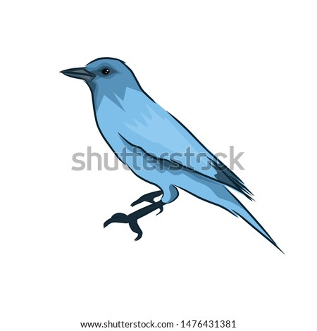 Realistic Blue bird hand drawn clip art vector