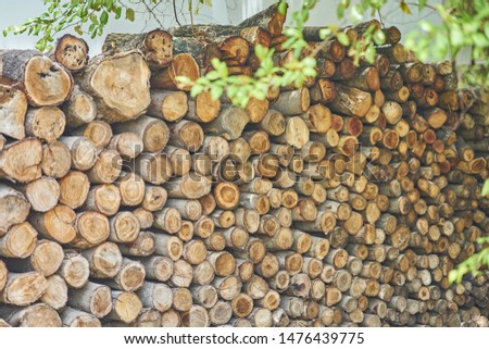 A front view of a stack of logs          