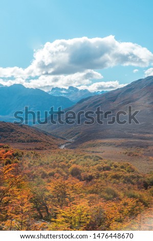 View of mountain valley and river stream, with surrounding bushland and trees. Blue sky. Shot on Mount Fitzroy walking trial hiking trek, Patagonia, Argentina. Nature, landscape, tourism, concepts.