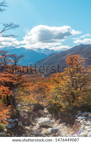 View of mountain valley and river stream, with surrounding bushland and trees. Blue sky. Shot on Mount Fitzroy walking trial hiking trek, Patagonia, Argentina. Nature, landscape, tourism, concepts.
