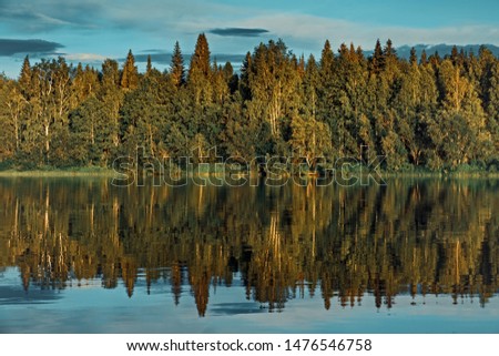 Landscape forest river shore reflection in the water. The picture resembles a sound wave.