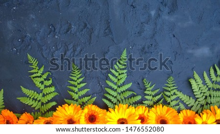 calendula flowers and fern leaves in the bottom row, a dark background underlined by flowers