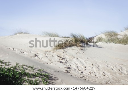 Beautiful sandy beach in Portugal