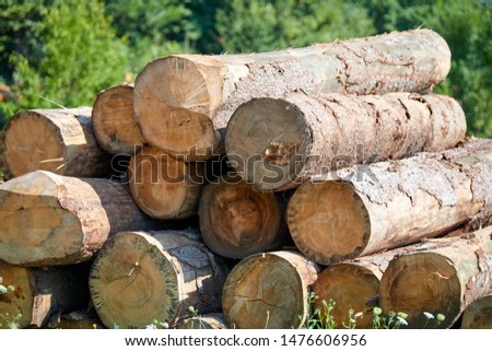 Stacked logs and woodpiles, lumber and wood industry
