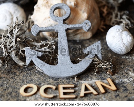 Seashells and vintage anchor with wooden letters ocean. Travel concept
