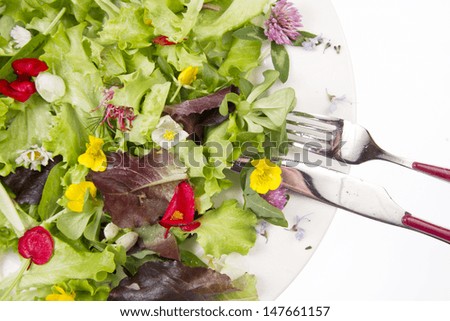 Outline Alternative Of Salad And Flowers, Healing And Draining