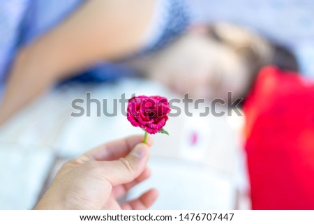 Good morning. The girl is sleeping, and her husband gives flowers a red rose and immediately takes a picture that she does not notice