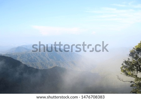 Green Scenery At Mountain At Dawn With Fog In The Sky