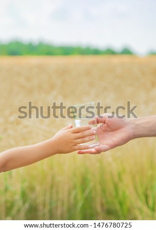 The father gives the child water in the background of the field. Selective focus. nature
