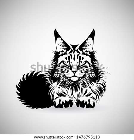 portrait of a cat with a predatory gaze on a light background
