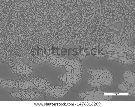 Photomicrograph of A-789 stainless steel tube to 318 stainless steel tube sheet weld showing weld, HAZ, and parent metal microstructures. Etched with NaOH.  Royalty-Free Stock Photo #1476816209