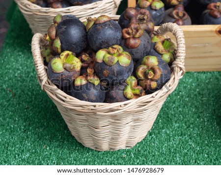 Mangosteen in basket is a queen of fruit in Thailand