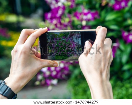 women take photo flower by smartphone