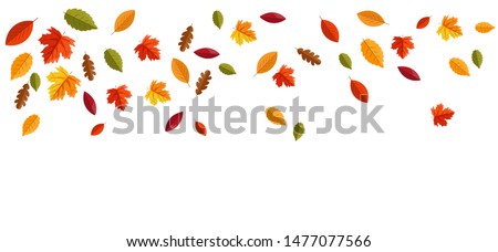 Hello autumn, autumn leaves flat, colored leaves isolated set, autumn elements, autumn banner,  vector illustration Royalty-Free Stock Photo #1477077566