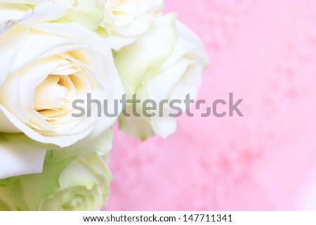 wedding flower. white roses on pink background