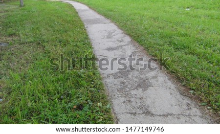 path in the park in the summer