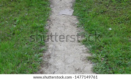 path in the park in the summer