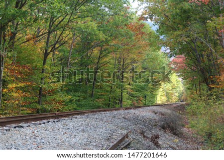 Beautiful picture of railroad tracks 