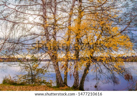 Green lake in Seattle WA. These  photo was taken in autumn season.